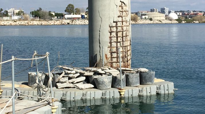 INDUSTRIA: REHABILITACIÓN Y MANTENIMIENTO